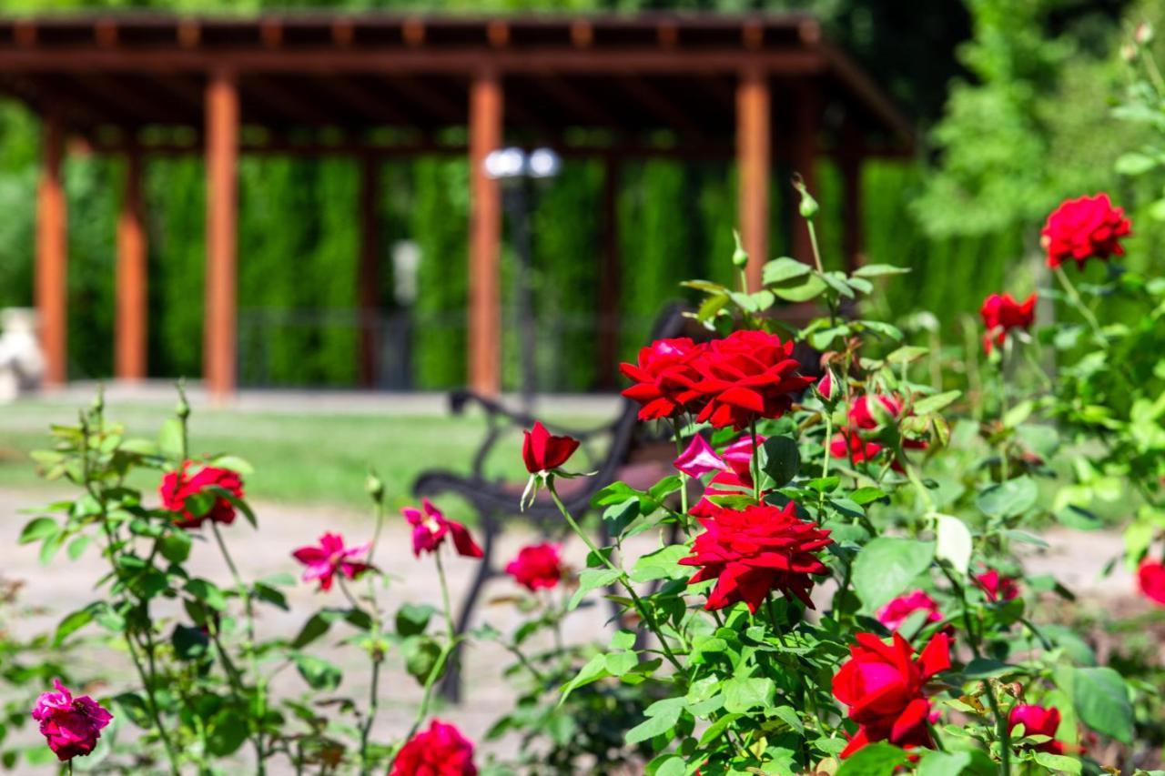 Mineral Spa Draugyste Druskininkai Exteriör bild